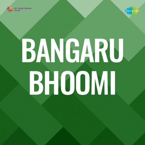 Album Blurred Banner Image