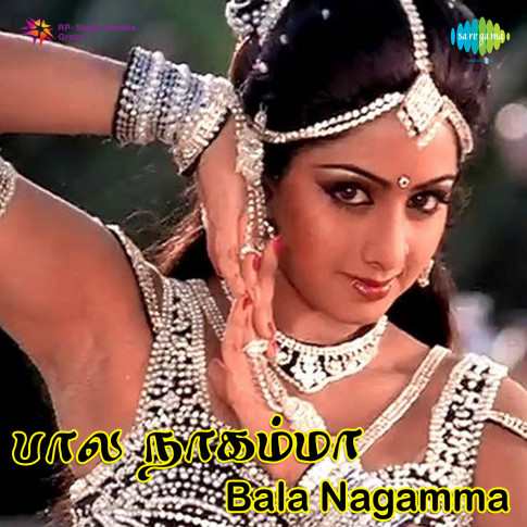 Album Blurred Banner Image