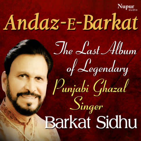 Album Blurred Banner Image