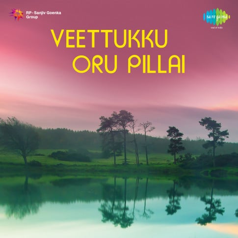 Album Blurred Banner Image