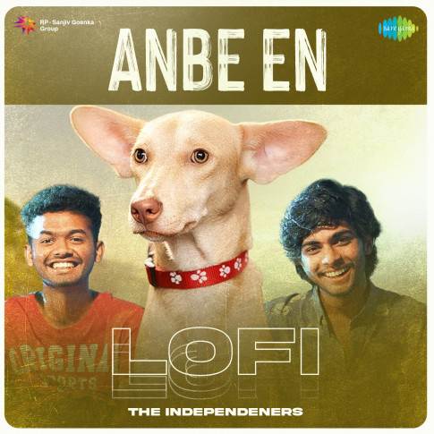 Album Blurred Banner Image