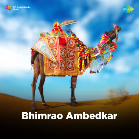 Album Blurred Banner Image