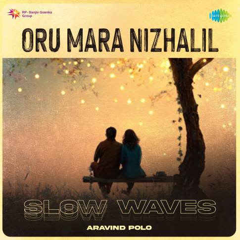 Album Blurred Banner Image