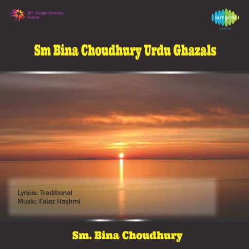 Album Blurred Banner Image