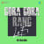 Gora Gora Rang LoFi