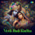 Vedi Jhali Radha Vedi Jhali Radha
