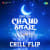 Chand Sitare Chill Flip