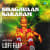 Bhagavaan Saranam Lofi Flip