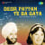 Deor Pattan Te Beh Gaya Deor Pattan Te Beh Gaya