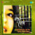 Kancha Rod (Drama) Kancha Rod (Drama)