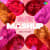 Valentine Day Mashup Valentine Day Mashup