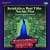 Ketakichya Bani Tithe Nachla Mor - Jhankar Beats Ketakichya Bani Tithe Nachla Mor - Jhankar Beats