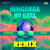 Hungamaa Ho Gaya Remix Hungamaa Ho Gaya Remix