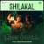 Shilakal - Lofi Chill