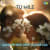 Tu Mile Sundowner Deep House Mix Tu Mile Sundowner Deep House Mix