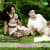Gaaligopura Gaaligopura