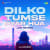 Dilko Tumse Pyar Hua - Lofi Reverb Dilko Tumse Pyar Hua - Lofi Reverb