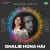 Ghalib Hona Hai - Lofi