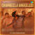 Chamkeela Angeelesi - Slow Reverb Chamkeela Angeelesi - Slow Reverb