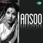 Ansoo