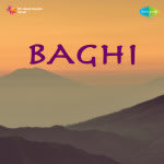 Baghi