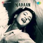 Nadaan