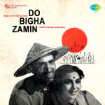 Do Bigha Zamin