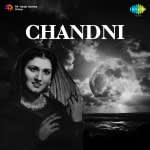 Chandni