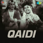 Qaidi