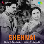 Shehnai