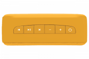saregama carvaan-gift for music lovers image