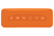 saregama carvaan-gift for music lovers image
