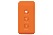 saregama carvaan-gift for music lovers image