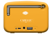 saregama carvaan-gift for music lovers image