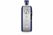 saregama carvaan-gift for music lovers image