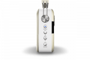 saregama carvaan-gift for music lovers image