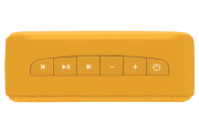 saregama carvaan-gift for music lovers image