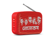 saregama carvaan-gift for music lovers image