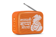 saregama carvaan-gift for music lovers image