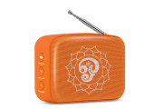 saregama carvaan-gift for music lovers image