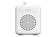 saregama carvaan-gift for music lovers image