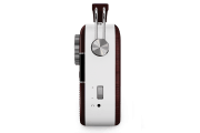saregama carvaan-gift for music lovers image