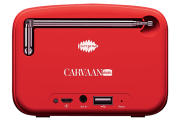 saregama carvaan-gift for music lovers image