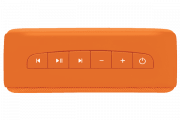 saregama carvaan-gift for music lovers image