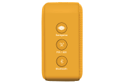 saregama carvaan-gift for music lovers image