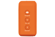 saregama carvaan-gift for music lovers image