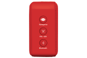 saregama carvaan-gift for music lovers image