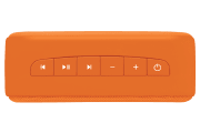 saregama carvaan-gift for music lovers image