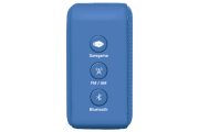saregama carvaan-gift for music lovers image