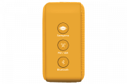 saregama carvaan-gift for music lovers image